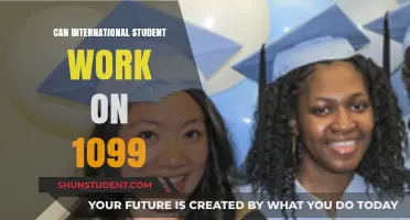 Working on 1099: International Students' Guide to US Taxes
