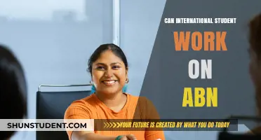 International Students Working: ABN Options Explored