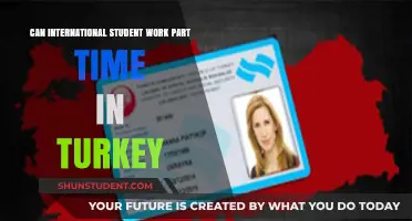 Working Part-Time in Turkey as an International Student