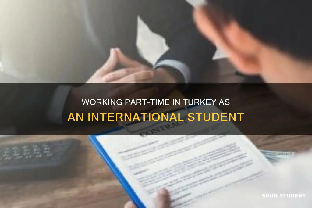 can international student work part time in turkey
