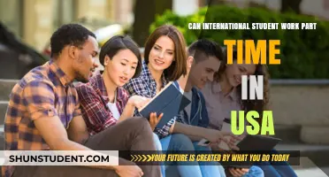 Working in the USA: International Student's Guide