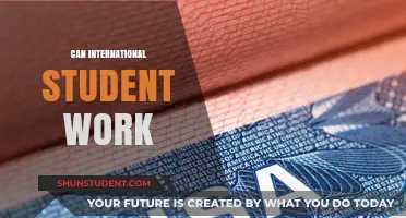 Working Options for International Students