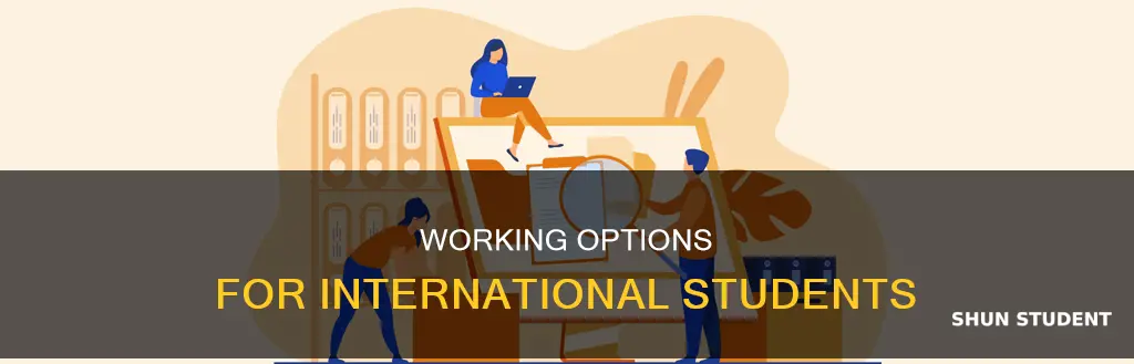 can international student work