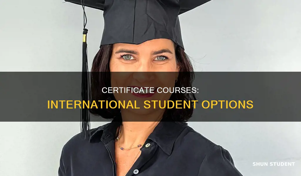 can international students aplly certificate courses