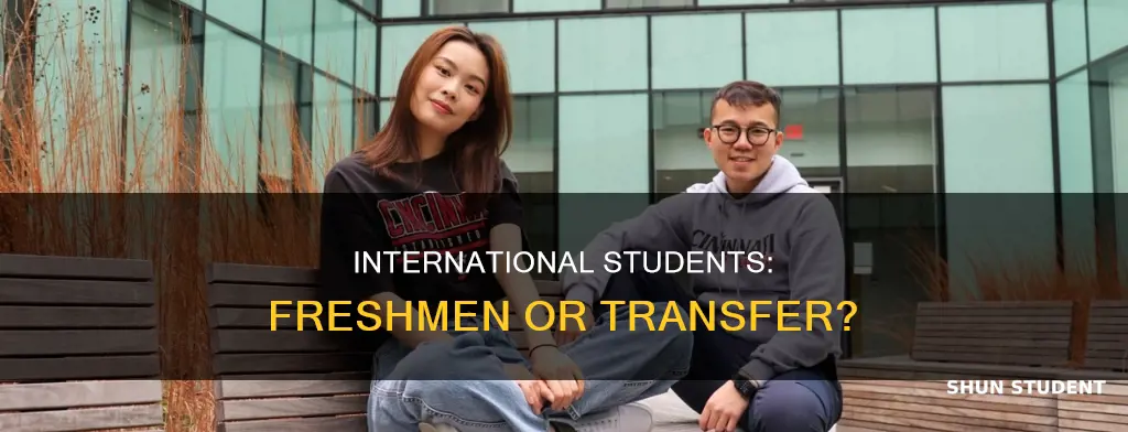 can international students apply as freshmen insted for transfer