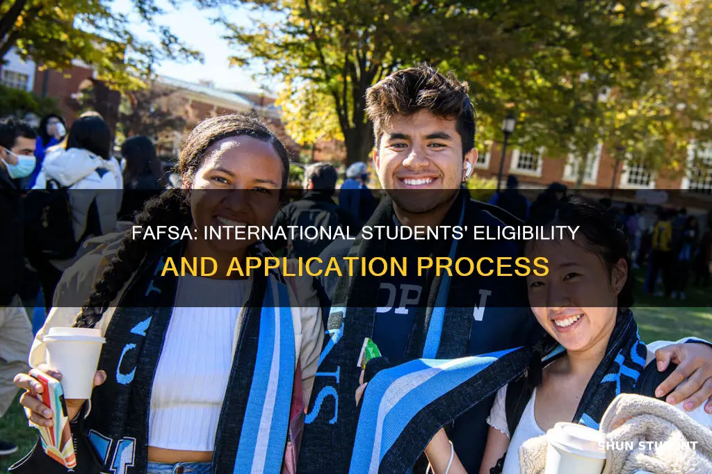 can international students apply fafsa
