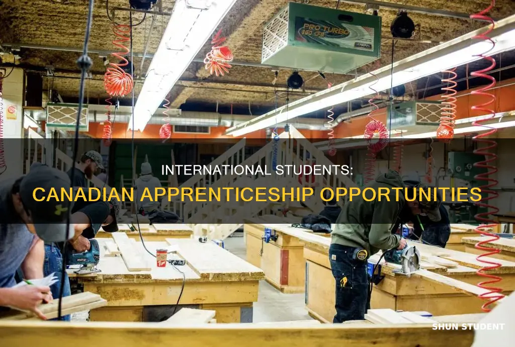 can international students apply for apprenticeships in canada