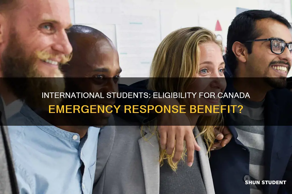 can international students apply for canada emergency response benefit