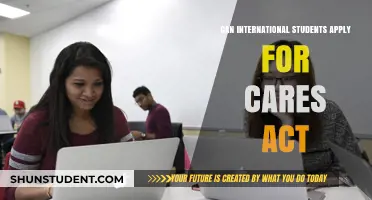 International Students: CARES Act Eligibility
