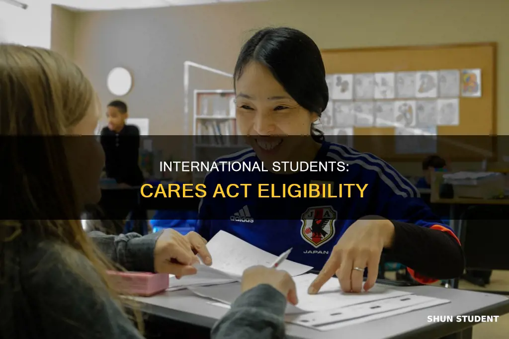 can international students apply for cares act