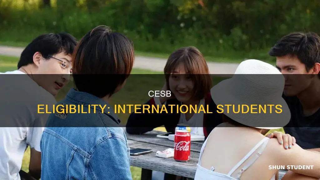 can international students apply for cesb