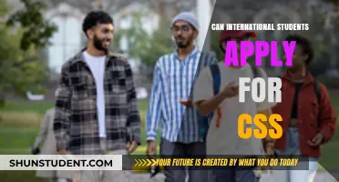 International Students: Can They Apply for CSS?