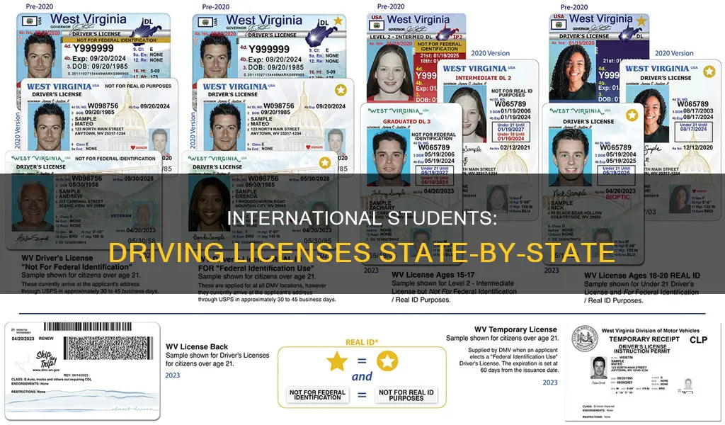 can international students apply for driving license in any state