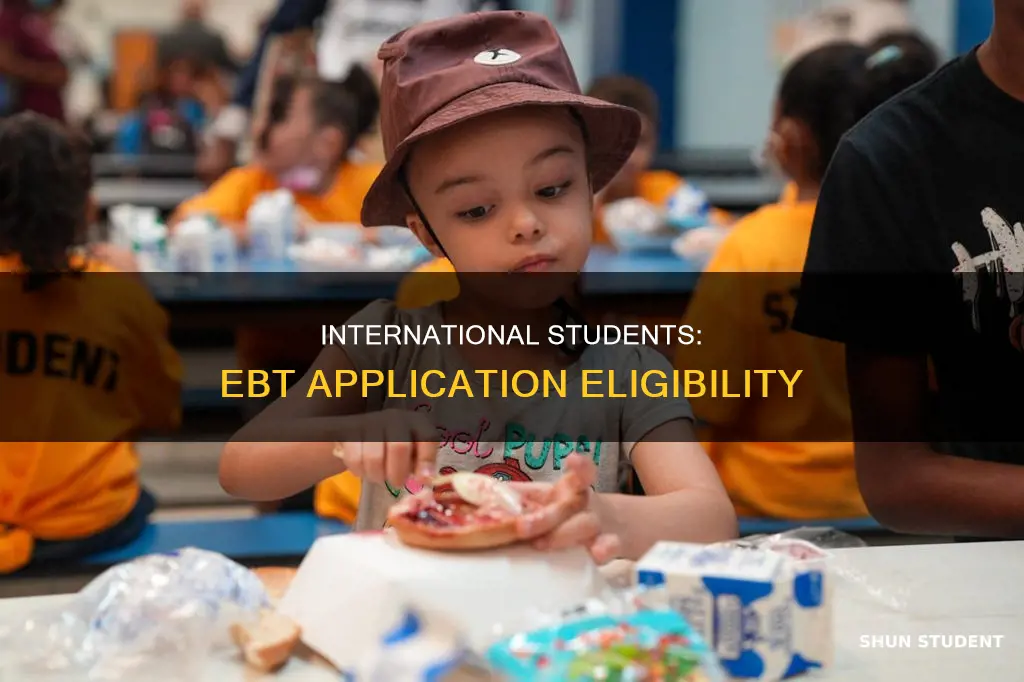 can international students apply for ebt