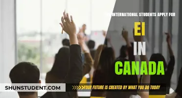 International Students: EI Benefits and Eligibility in Canada
