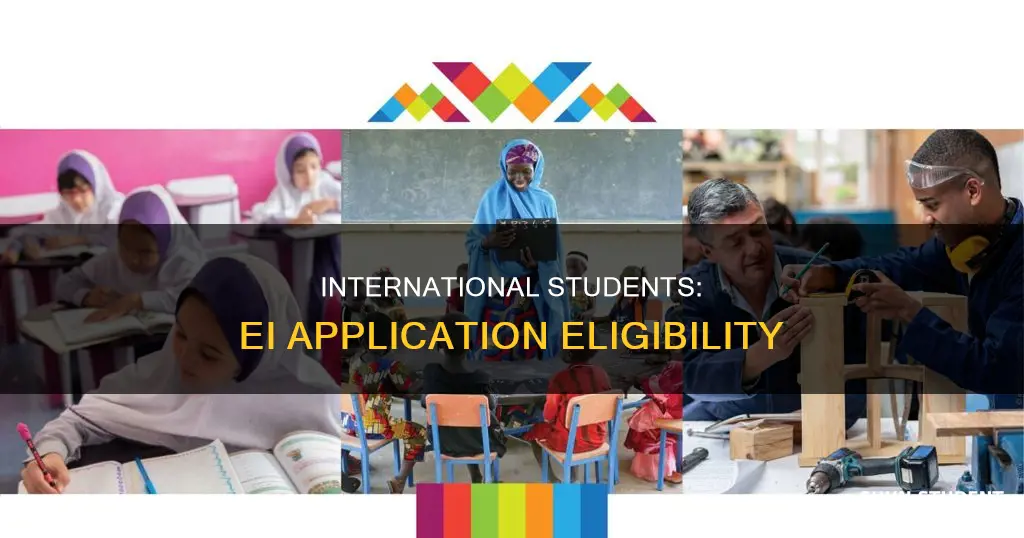 can international students apply for ei