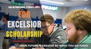 International Students: Excelsior Scholarship Eligibility