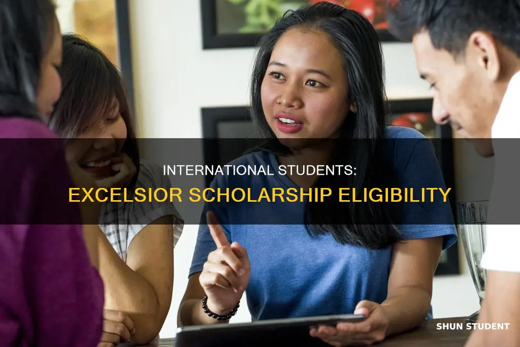 can international students apply for excelsior scholarship