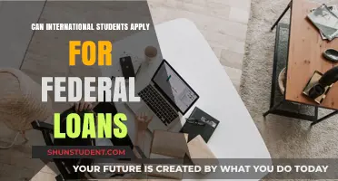 International Students: Federal Loan Eligibility
