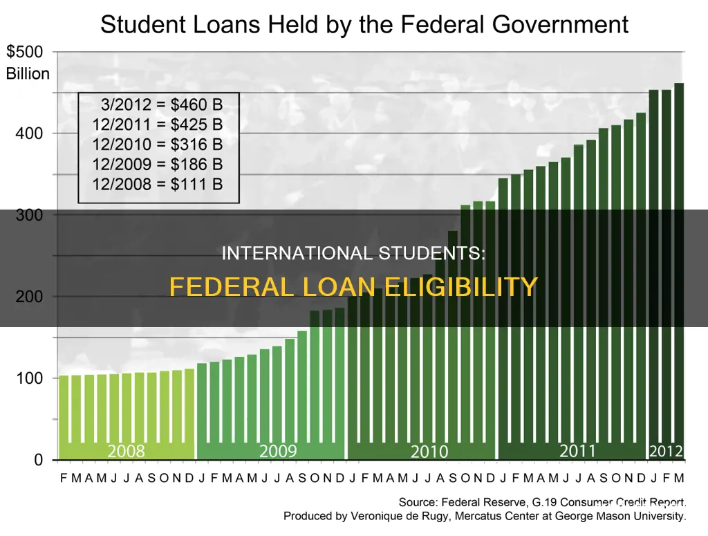 can international students apply for federal loans