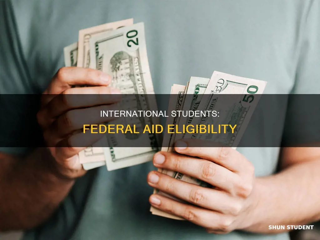can international students apply for federal student aid