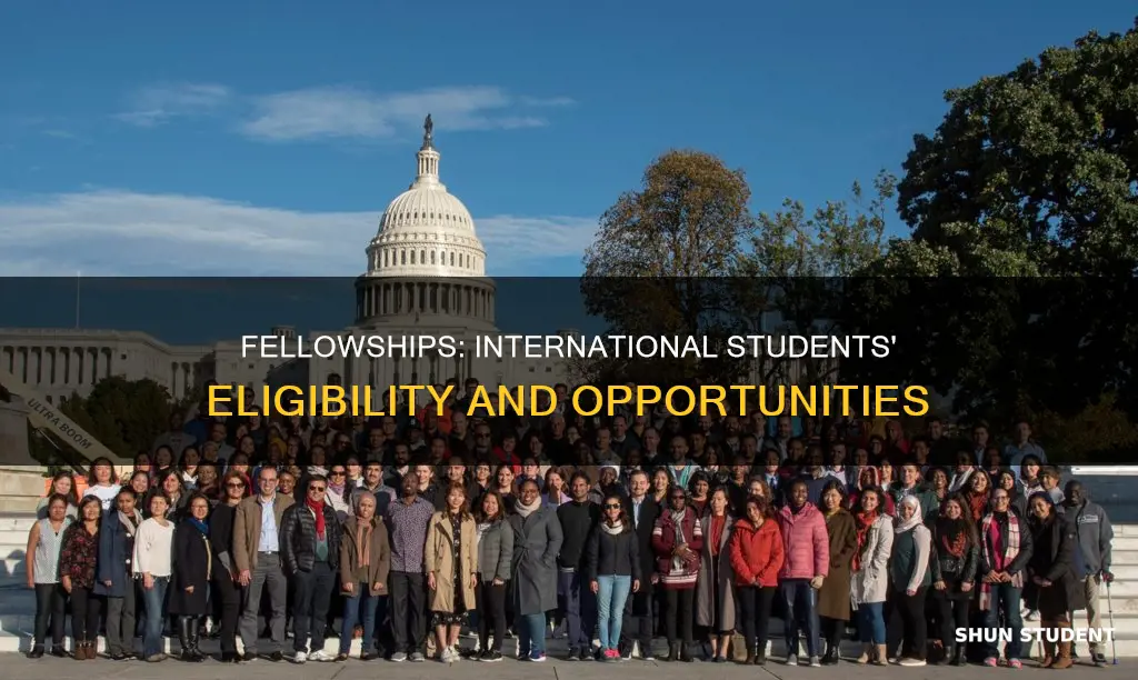 can international students apply for fellowships