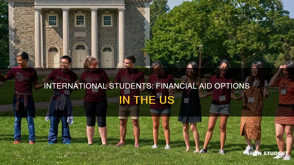 can international students apply for financial aid in the us