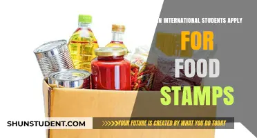 International Students: Food Stamps Eligibility