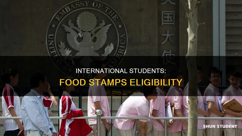 can international students apply for food stamps