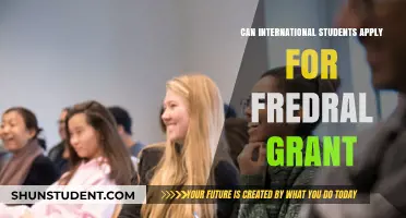 International Students: Eligibility for Federal Grants