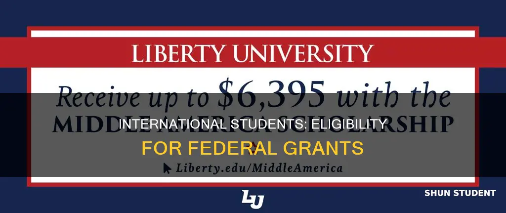 can international students apply for fredral grant