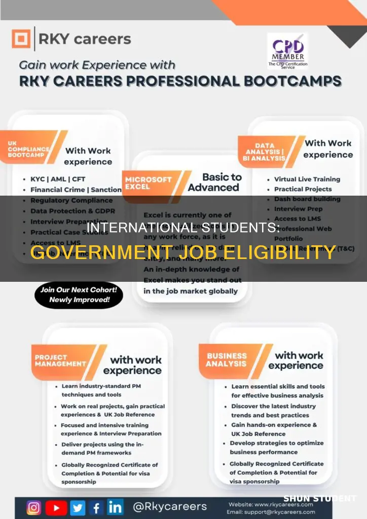 can international students apply for government jobs