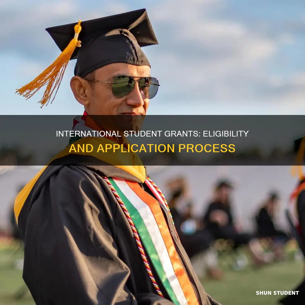 can international students apply for grants
