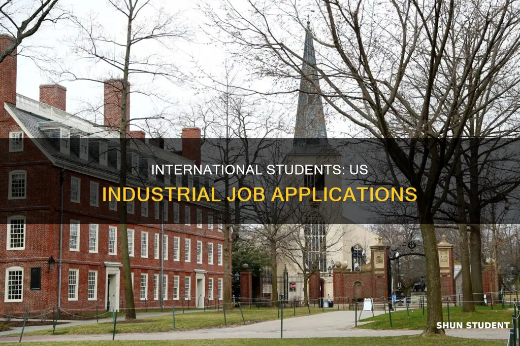 can international students apply for industrial jobs in the us