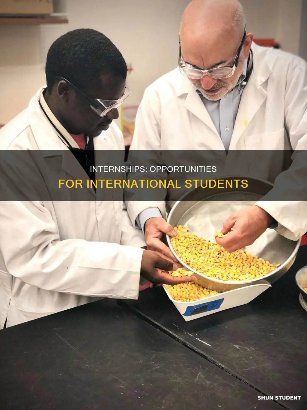 can international students apply for internships