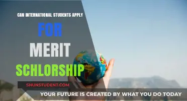 Merit Scholarships: Available for International Students?