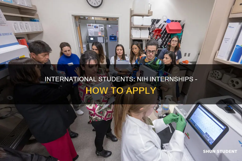 can international students apply for nih internship