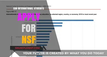International Students: NSF Application Eligibility