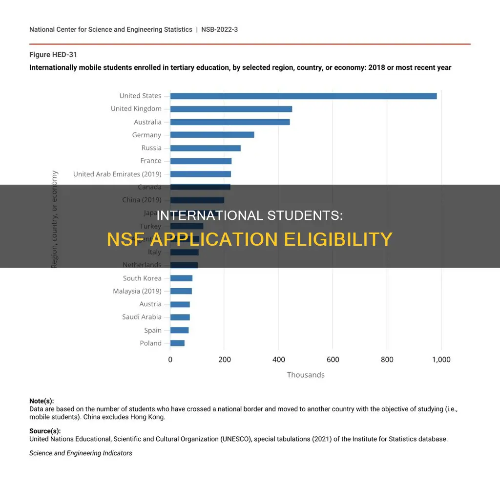can international students apply for nsf