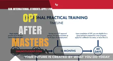 OPT Application Options for International Master's Students