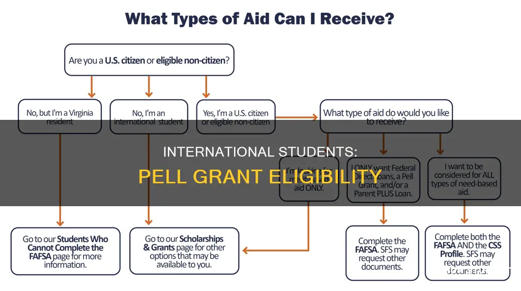 can international students apply for pell grant