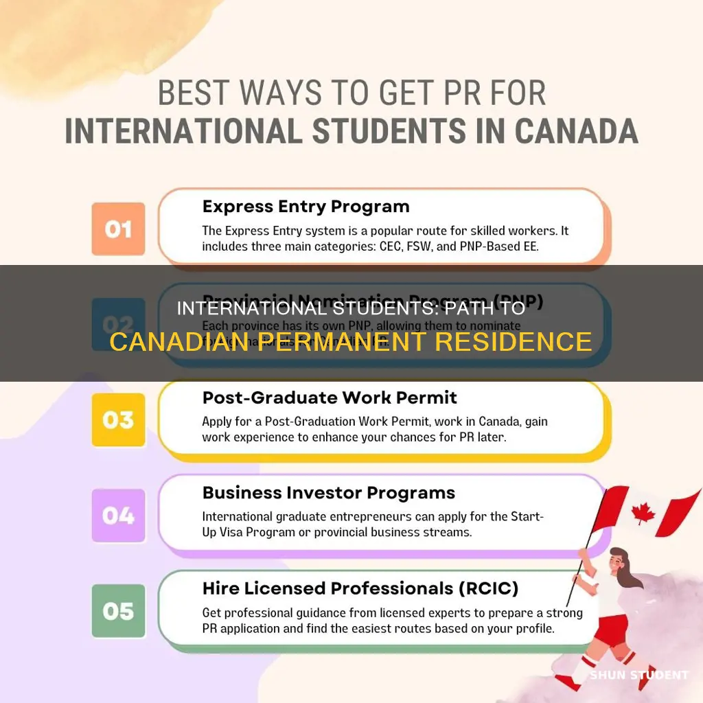 can international students apply for permanent residence in canada