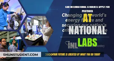 International Postdocs: National Labs Eligibility and Opportunities