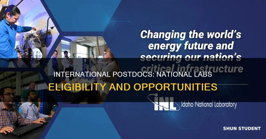 can international students apply for postdocs at national labs
