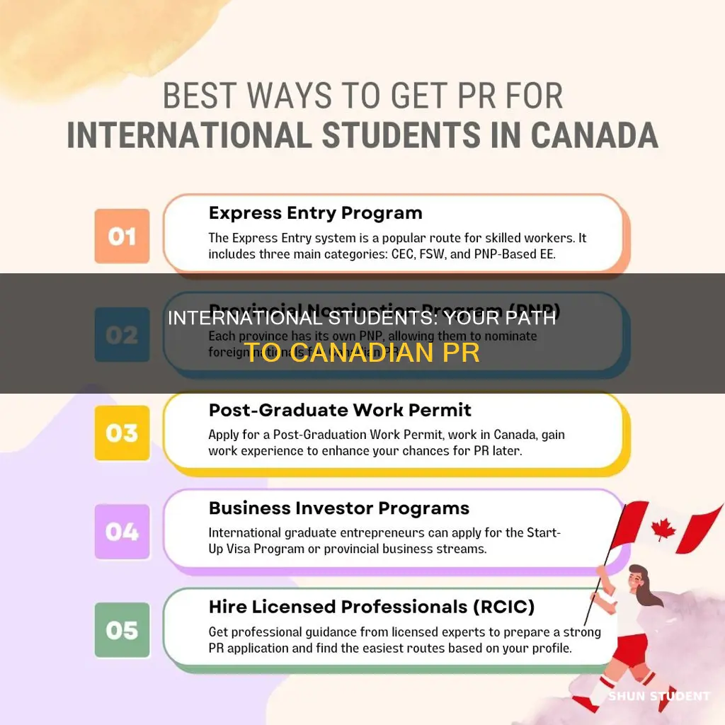 can international students apply for pr in canada