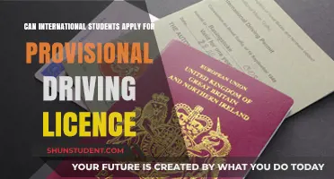 International Students: Provisional Driving Licence Eligibility