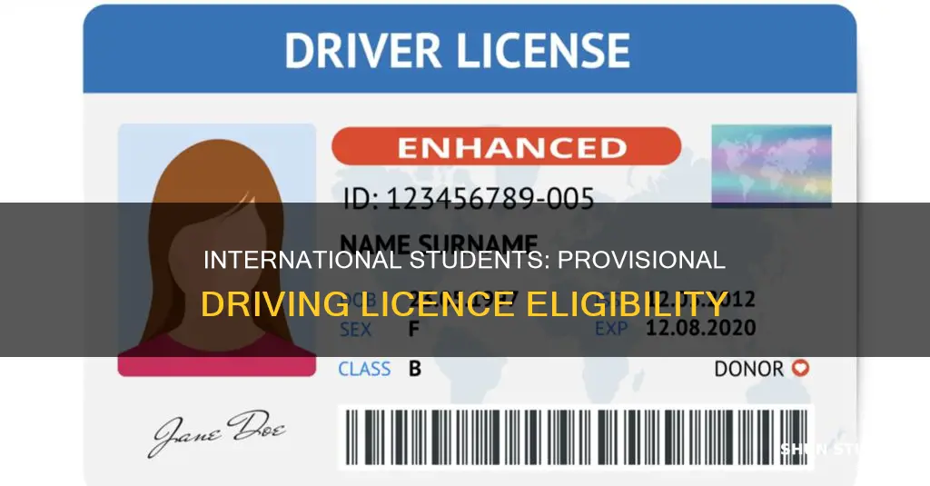 can international students apply for provisional driving licence