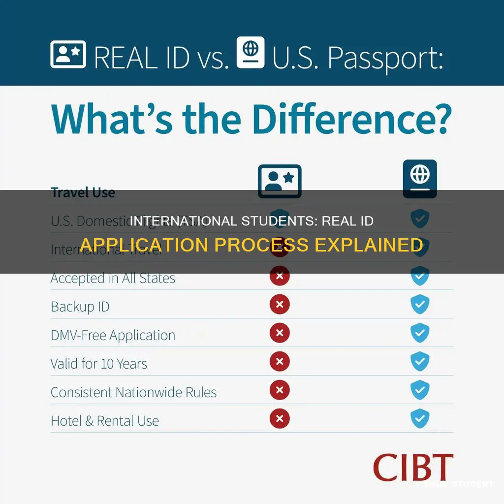 can international students apply for real id