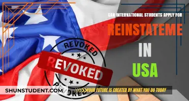 International Students: Reinstatement Process in the USA