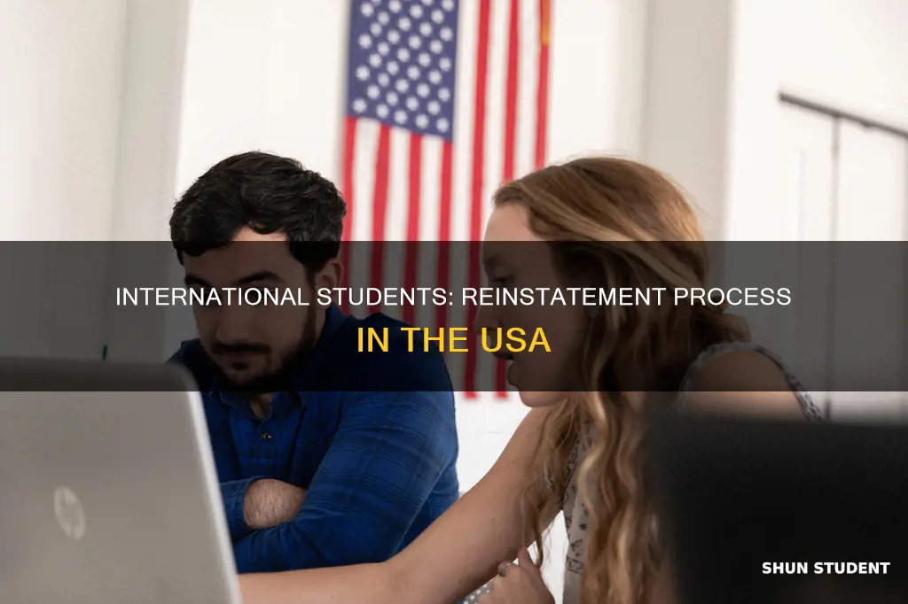 can international students apply for reinstatement in usa